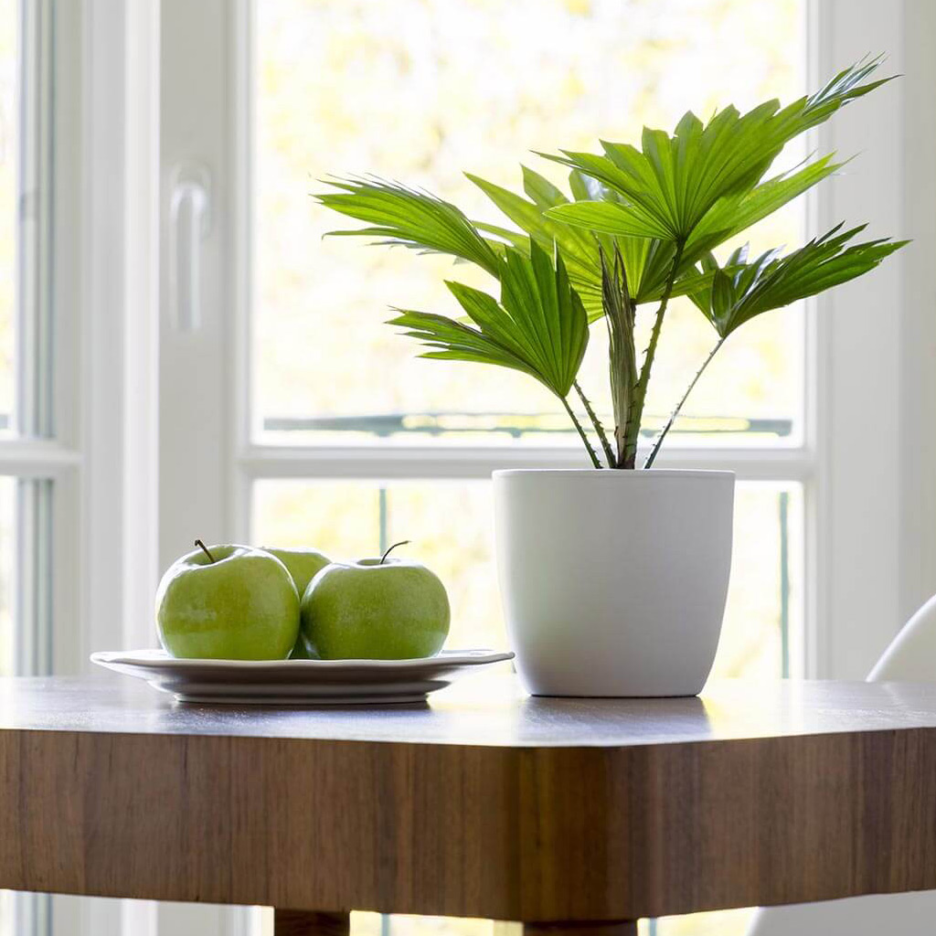 Bildquelle: XXXXXXXX